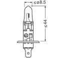 BEC 12V H10W ORIGINAL SET 10 BUC OSRAM