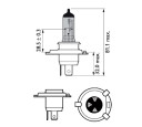 BEC INDICATOR 12V C10W SV8.5-8 SET 10 BUC NEOLUX