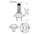 SET 2 BECURI 12V C5W FESTOON VISION BLISTER PHILIPS