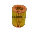 Filtru aer COOPERSFIAAM FILTERS FL6817</br>Piesa auto pentru Categorii