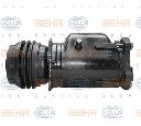 Compresor, climatizare HELLA 8FK 351 100-581</br>Piesa auto pentru Categorii