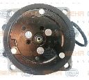 Compresor, climatizare HELLA 8FK 351 316-821</br>Piesa auto pentru Categorii