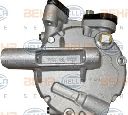 Compresor, climatizare HELLA 8FK 351 334-521</br>Piesa auto pentru Categorii