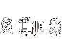 Compresor, climatizare VAN WEZEL 0600K489